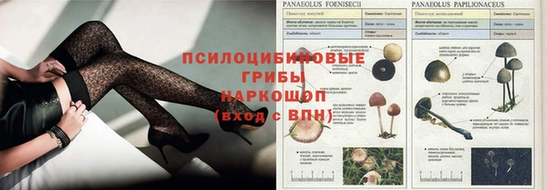 амф Алексин