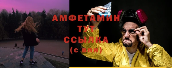 амф Алексин