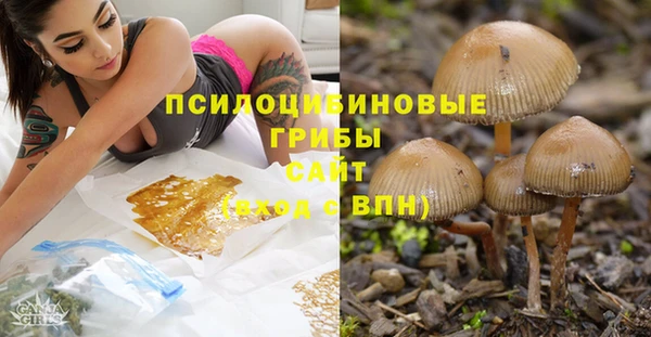 амф Алексин