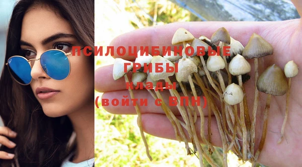 мет Абинск